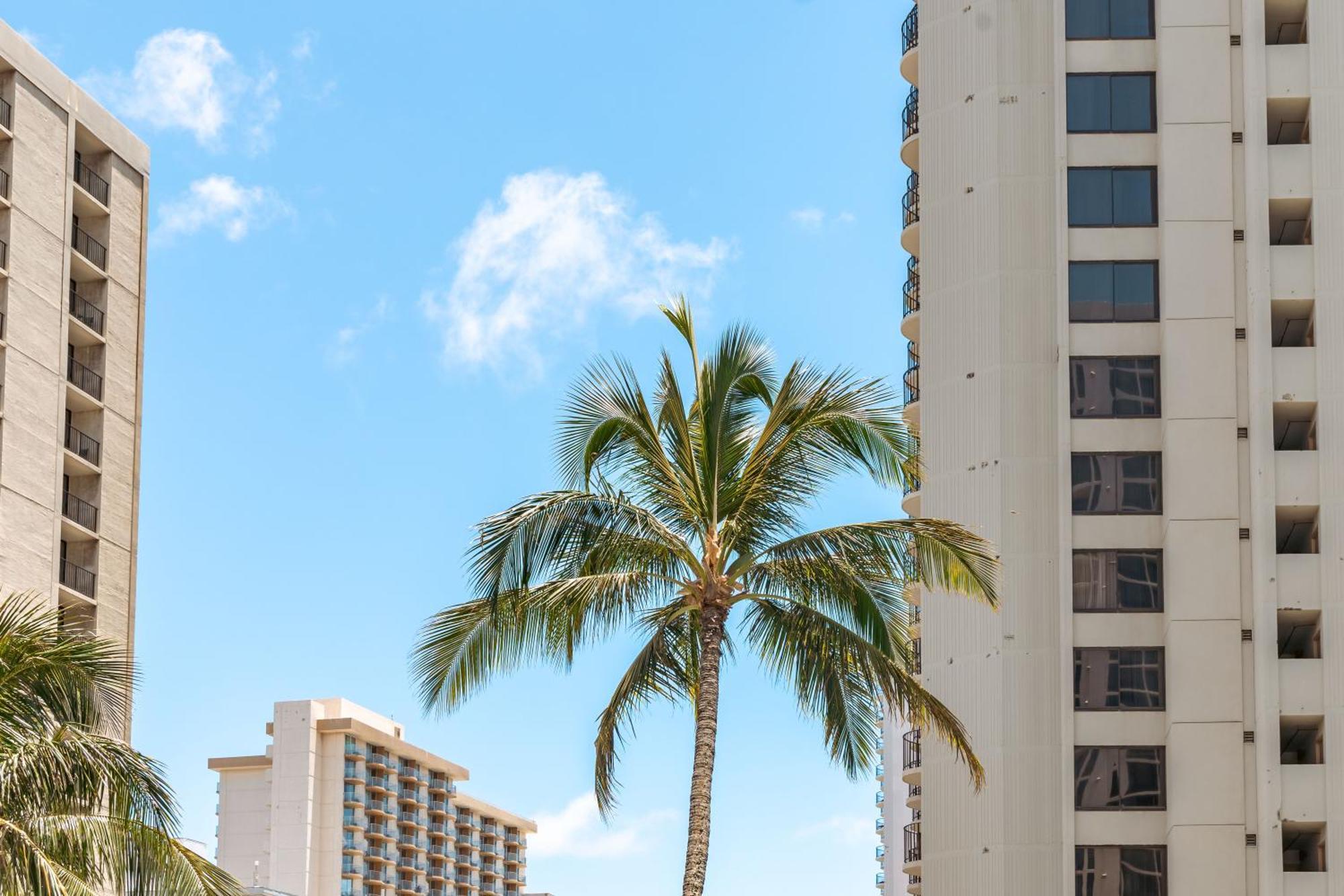 Diamond Head & Ocean View Gem Near Waikiki Beach, Parking'S On Us Honolulu Exterior photo