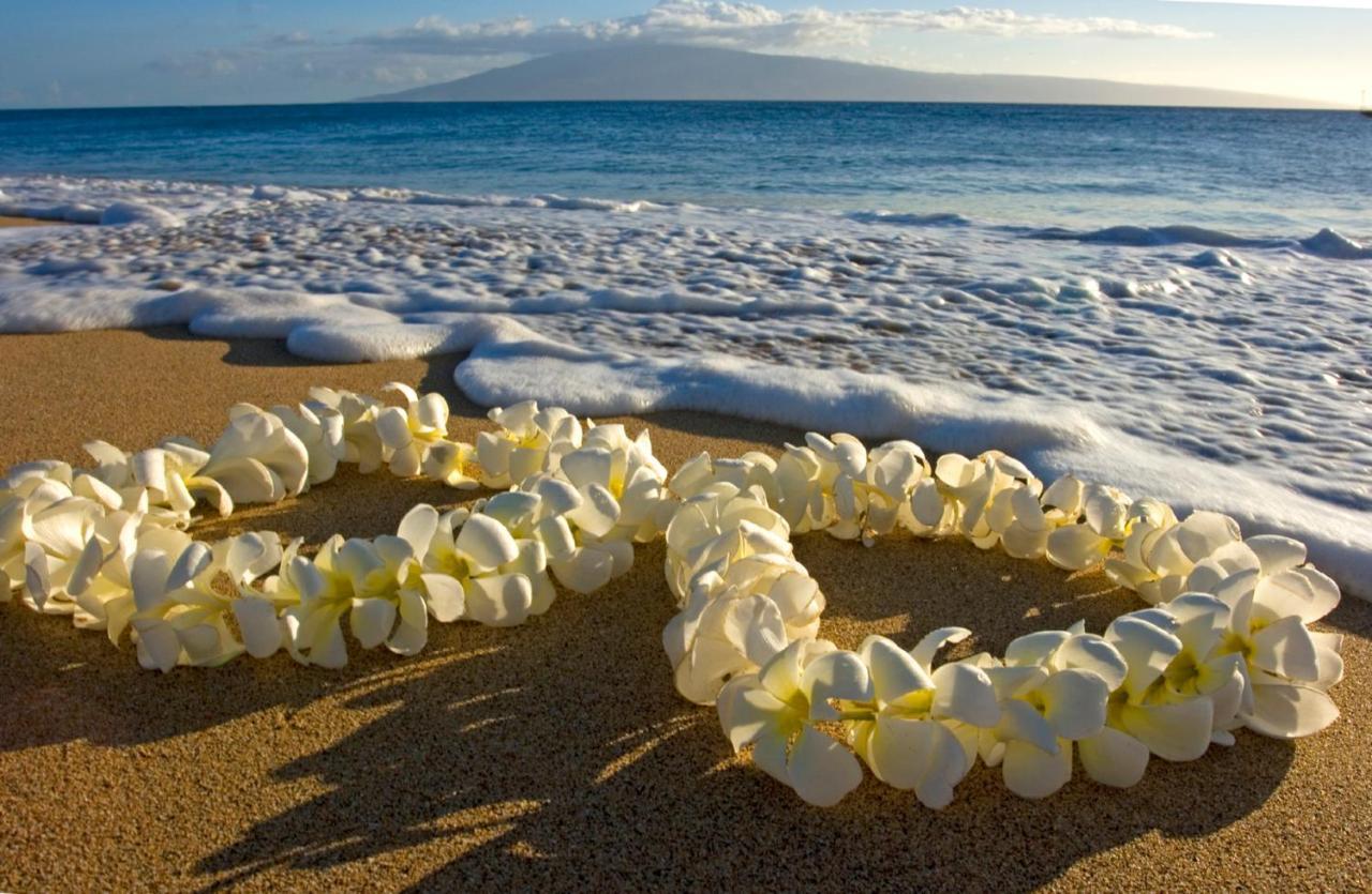 Diamond Head & Ocean View Gem Near Waikiki Beach, Parking'S On Us Honolulu Exterior photo